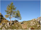 Stara Fužina - Planina Krstenica